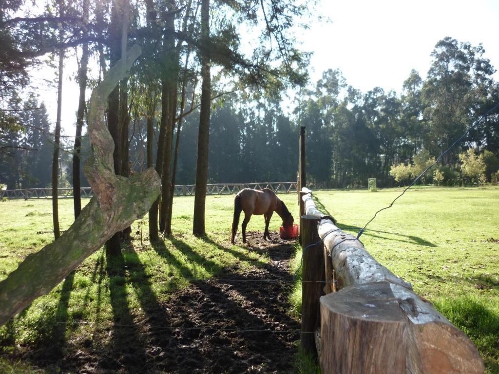 Hacienda La Carriona Sangolquí Exterior foto