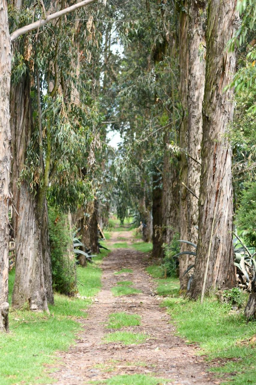 Hacienda La Carriona Sangolquí Exterior foto